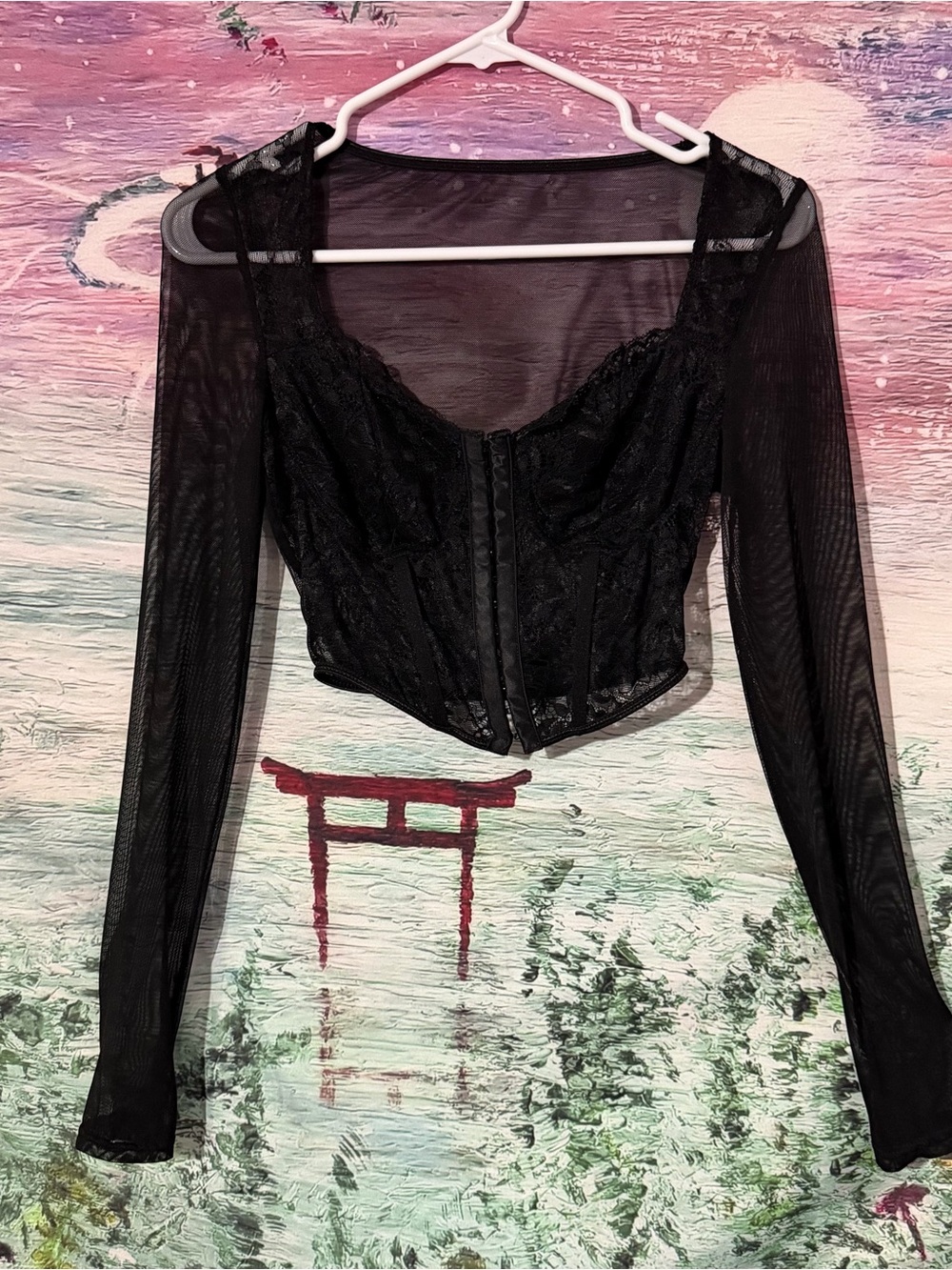 Black Lace Mesh Long-Sleeve Corset Top